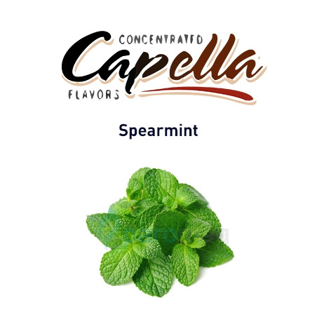 Capella maitsestaja Spearmint 13ml